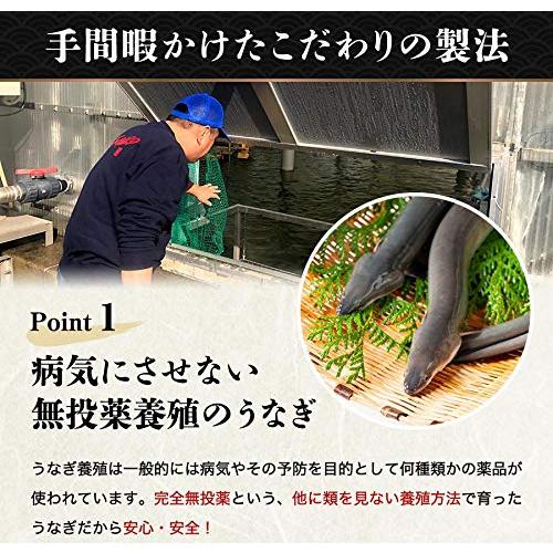 食の達人 国産 無投薬うなぎ 2尾 紫色 藤色 風呂敷包み たれ山椒４P付き 特大 約180g×2本