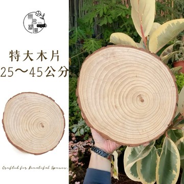 現貨 【特大片25-45公分】下單區 精緻飾品展示 木片年輪 原木片木頭貼裝飾背景牆實木片材料手工 侘寂風