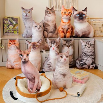 仿真3D貓咪抱枕毛絨玩具抱著睡覺的喵星人公仔創意搞怪玩偶禮物