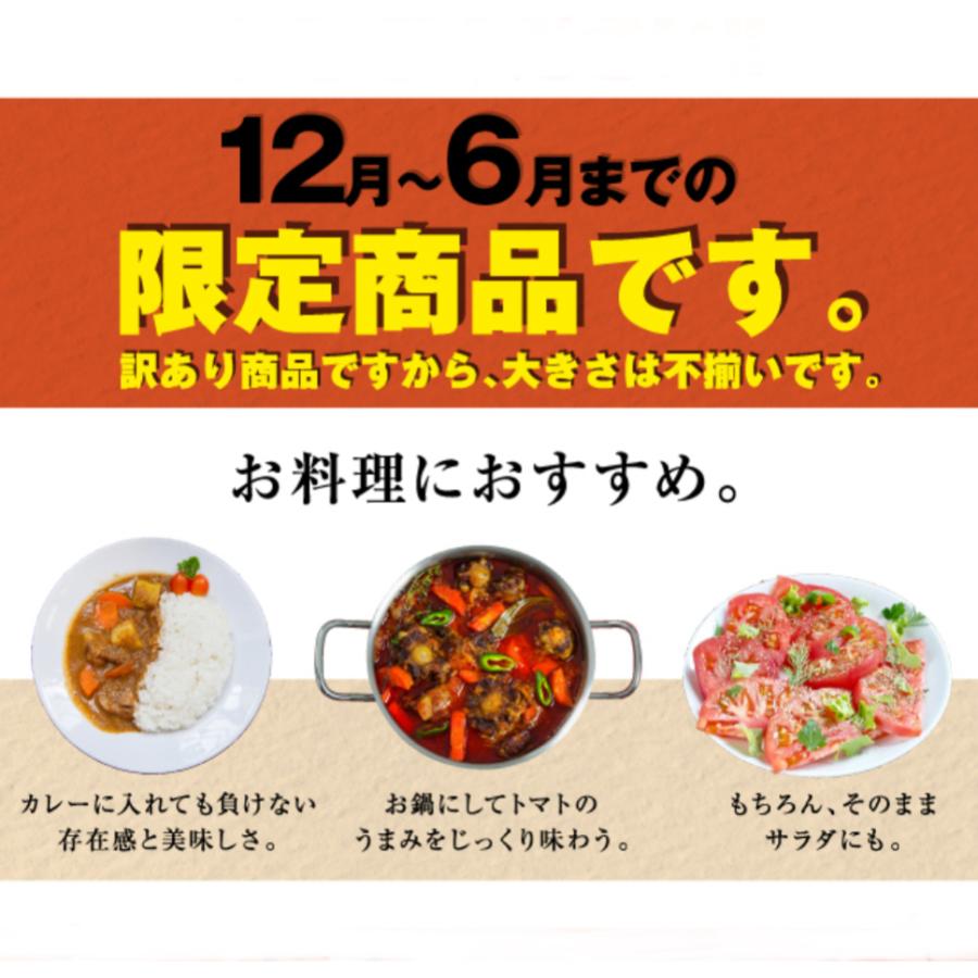 受賞歴３回！ソムリエトマト　５〜６kg(１８玉〜３６玉）(2)のオマケ！ソムリエミニトマト　プラチナ