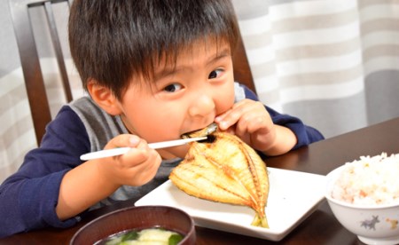 土佐大月海産　高級アジの干物 恋あじ 700g