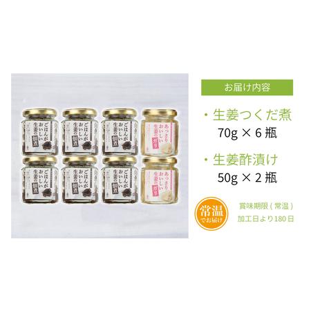 ふるさと納税 生姜の佃煮・生姜酢漬け 2種 計8個 佃煮 つくだ煮 セット 珍味 惣菜 生姜 しょうが 鹿児島 エスランドル 南さつ.. 鹿児島県南さつま市