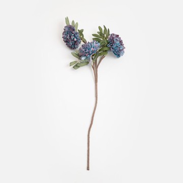 Flora芙蘿拉花插多瓣菊82cm 藍
