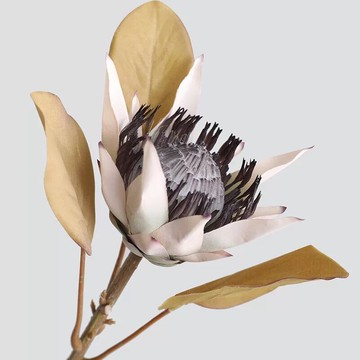 復古帝王花仿真干花花瓶擺放裝飾家居擺件北歐鏡前花落地婚慶干燥