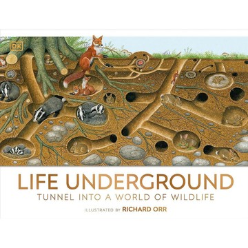 (現貨)DK出版 Life Underground: Tunnel into a World of Wildlife 地下生活：隧道探秘野生動物世界