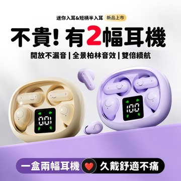 隔日到貨 雙人雙享藍芽耳機 迷你無線耳機 升級二合一 入耳式降噪耳機 睡眠神器 超長續航 情侶耳機 微型藍牙耳機