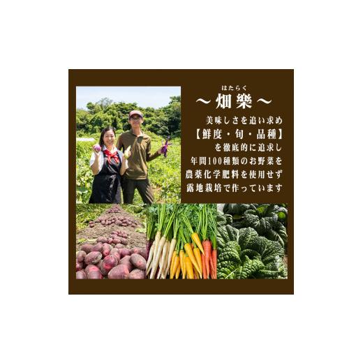 ふるさと納税 山口県 下関市 旬 の 野菜 詰め合わせ セット 品 お楽しみ 産地直送 農家直送 季節 春 夏 秋 冬 露地野菜 やさい サラダ 農薬 化学肥料 不…