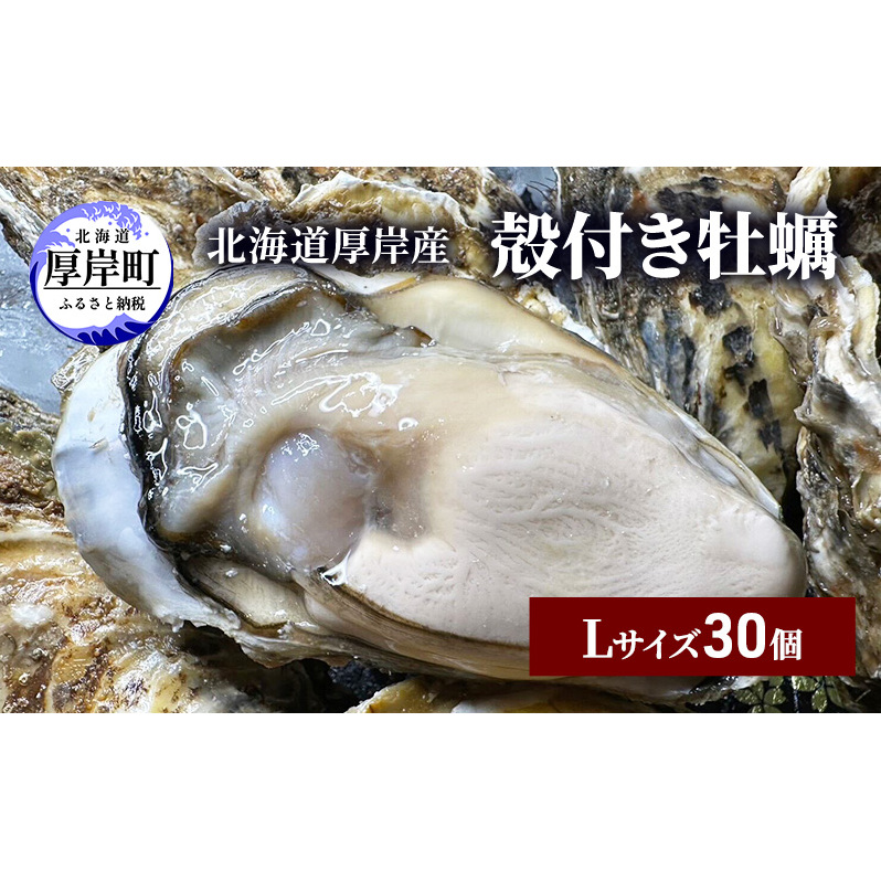 北海道 厚岸産 殻付き 牡蠣 Lサイズ 30個