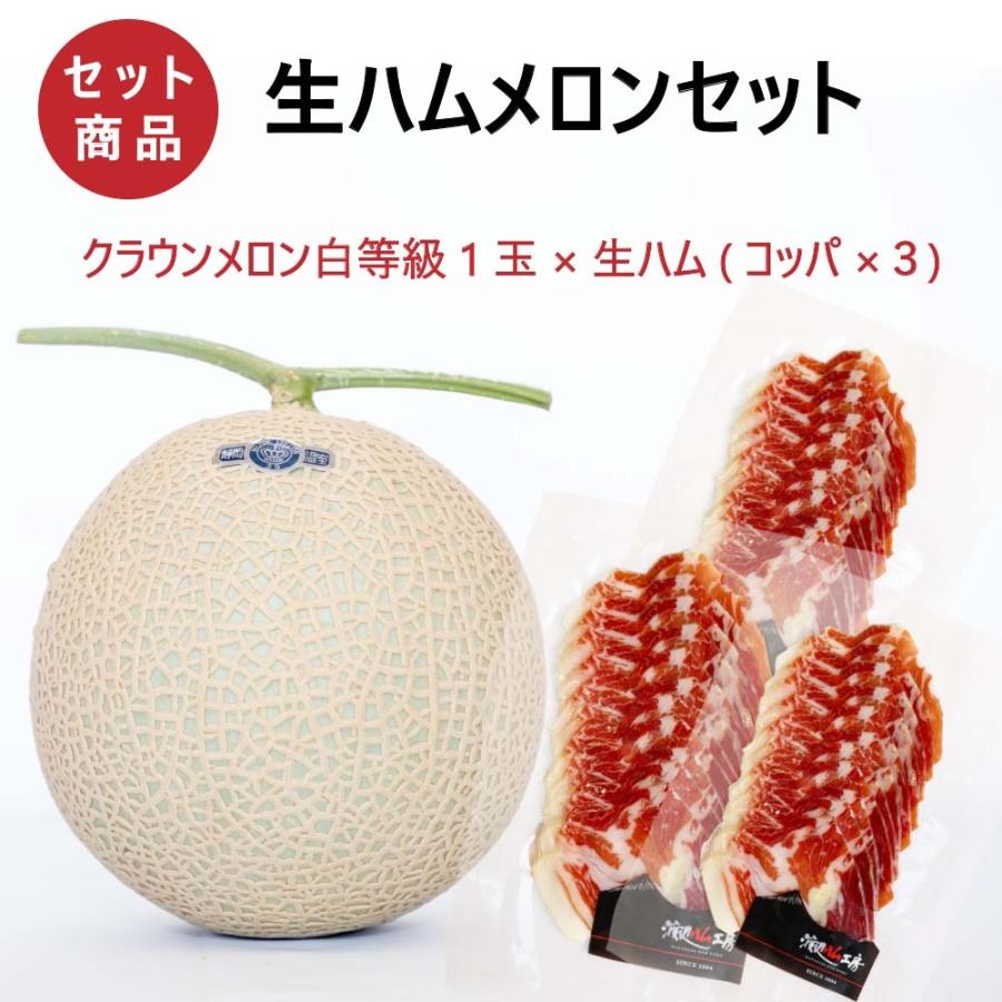 フルーツ・メロン 生ハムメロンセット (クラウンメロン白等級1玉×生ハム(コッパ×３) 静岡クラウンメロン 静岡県産 マスクメロン 贈りもの ギフト 贈答