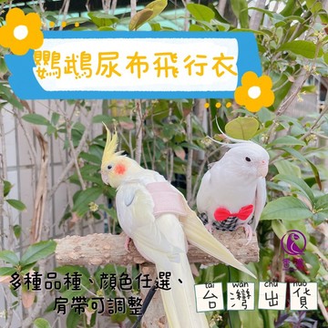 香濃❤『請詳閱說明』鸚鵡飛行服衣服尿布衣屎兜小鳥衣服寵物飛行衣服裝