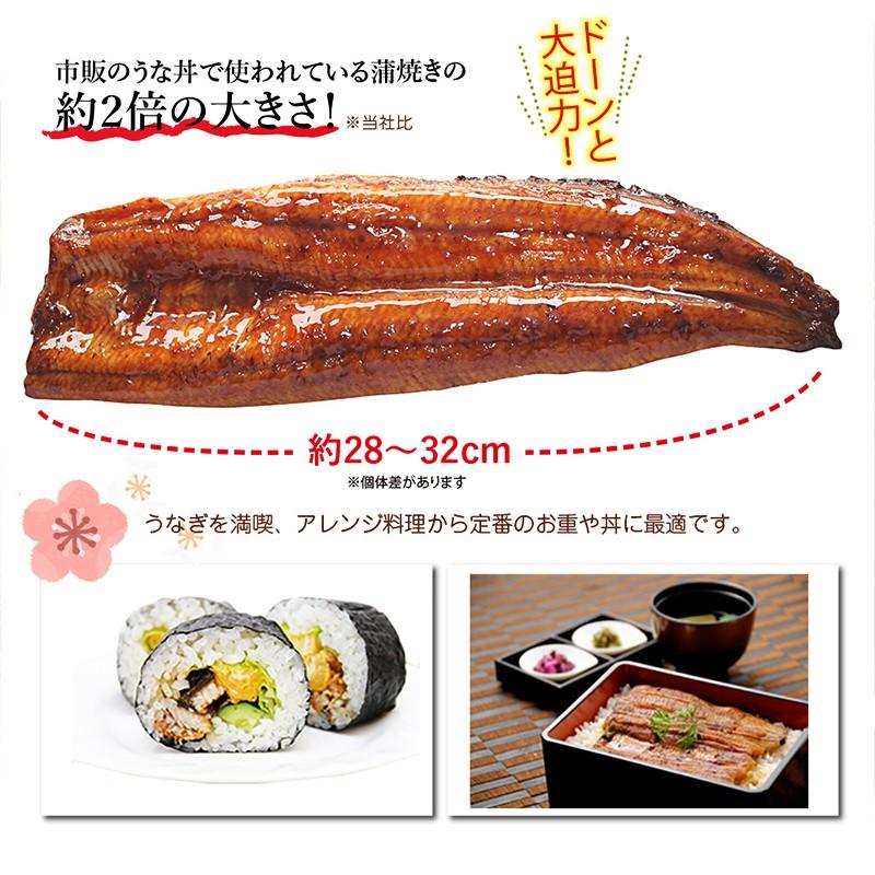 鰻 国産うなぎの蒲焼き 特大１尾（250g）ギフト 贈り物 内祝い タレ山椒 付き 熊本県産 化粧箱  贈り物 ギフト グルメ プレゼント お中元 父の日