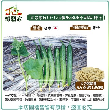 【綠藝家】大包裝G17-1.小黃瓜(306小胡瓜)種子4.5克(約135顆)//一代交配，生性強健，生長快