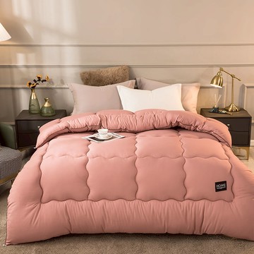 新品上市!!熱門爆品！！被子冬季冬被加厚保暖被芯學生宿舍床墊單雙人防寒保暖棉被四季被