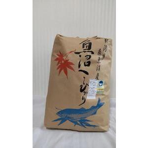 ふるさと納税 新潟県認証特別栽培米魚沼産しおざわコシヒカリ玄米20kg 新潟県南魚沼市