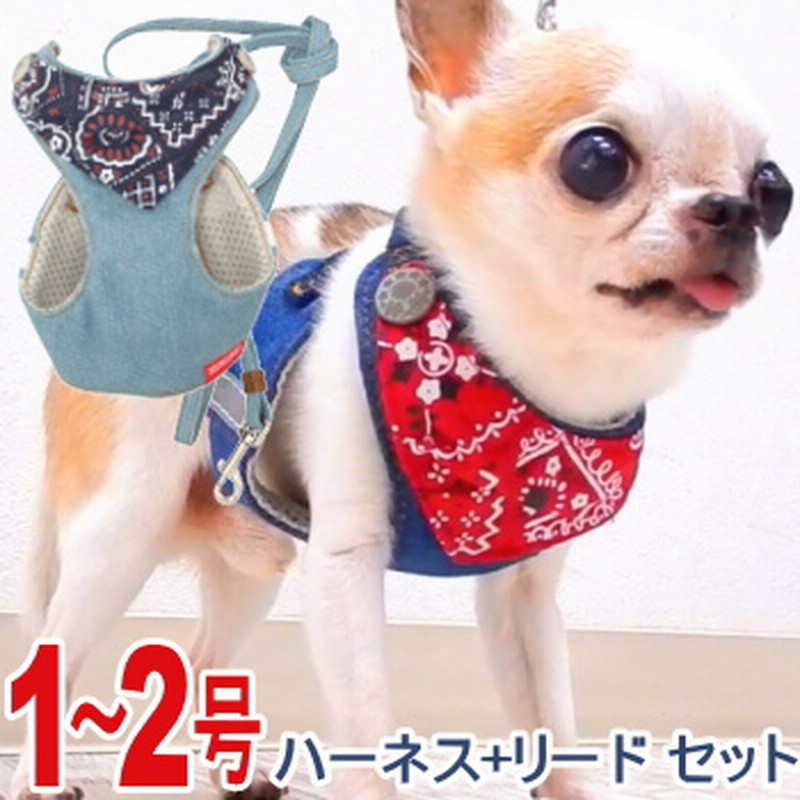 Beetlejuice Pet Costume ビートルジュースペットコスチューム