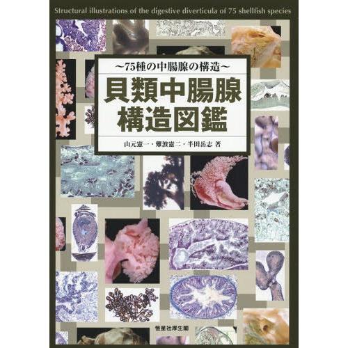 貝類中腸腺構造図鑑 75種の中腸腺の構造 山元憲一 難波憲二 半田岳志