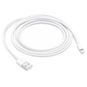 Apple 原廠 Lightning 對 USB 連接線 (2 公尺) MD819FE