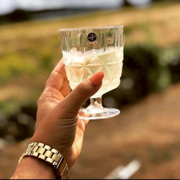 野餐高腳杯4入組