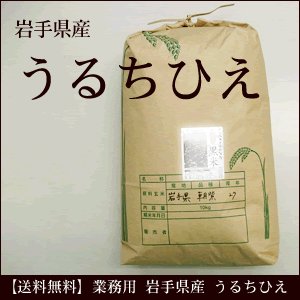 業務用 うるちひえ 岩手県産 10kg 雑穀