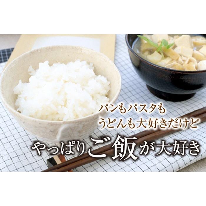 米 新米 送料無料 ひのひかり 令和5年産 熊本県産  5kg x 2袋 計10kg