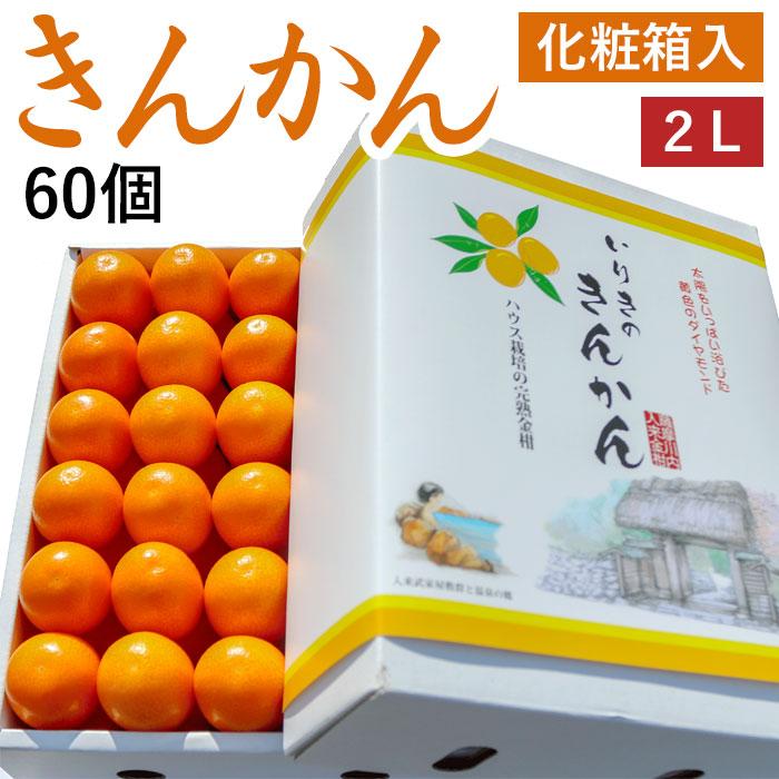 先行予約(12月下旬発送)  テレビで紹介 入来のキンカン ギフト ハウス きんかん 化粧箱入 2L 60個糖度14〜16度 鹿児島 プレゼント送料無料