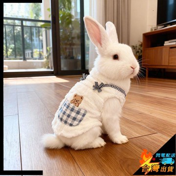 【台灣出貨】寵物衣服 小寵衣服 幼犬服飾 兔子衣服 兔子外出衣服 中小型寵物服裝