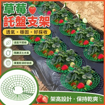 🅱️草莓託盤支架 草莓架 草莓支撐架 水果支架 草莓架高墊 草莓立體支架 水果支架 草莓架高墊 植物支 EL1W