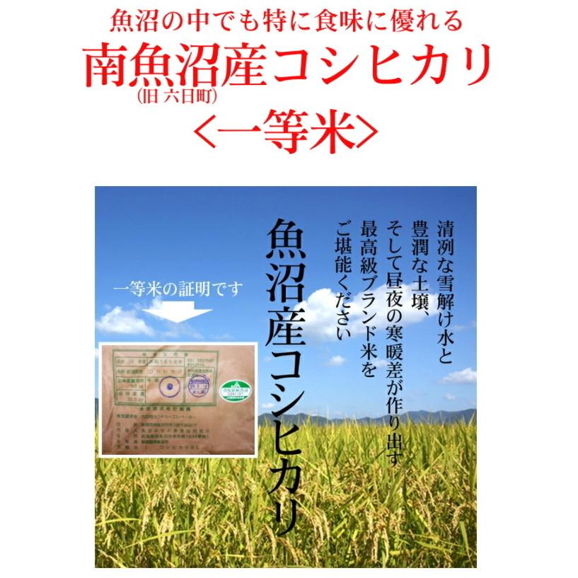 ほんの気持ちです 感謝の粗品 最高級銘柄米 魚沼産コシヒカリ 300g 2合 x10袋セット 御礼 景品 プチギフト 記念品 お返し 人気