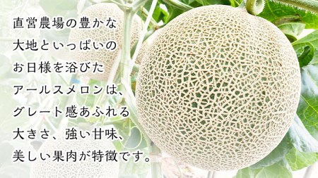 季節限定 ！ 甘さ満点 アールス メロン 大箱 （ 4〜5玉 ） 先行予約 果物 フルーツ 農家直送 産直 青肉メロン 特産品 マスクメロン[BC046sa]