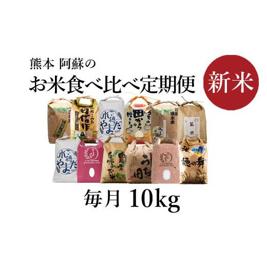 ふるさと納税 熊本県 阿蘇市 令和5年度　阿蘇の美味しいお米定期便　10kg（5kg×2）×12か月