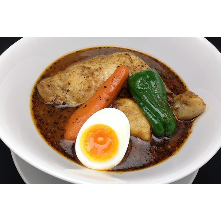 らっきょスープカレー チキン(560g) 2個セット 送料無料 送料込 北海道 札幌 スパイス お土産 手土産 贈り物