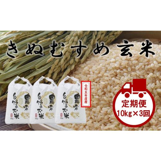 ふるさと納税 岡山県 倉敷市 HD13　令和5年度産 3回連続 岡山県倉敷市産 きぬむすめ 玄米 計30kg 10kgｘ3回