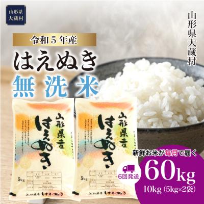 ふるさと納税 大蔵村 令和5年産 はえぬき60kg定期便(10kg×6回)　山形県大蔵村