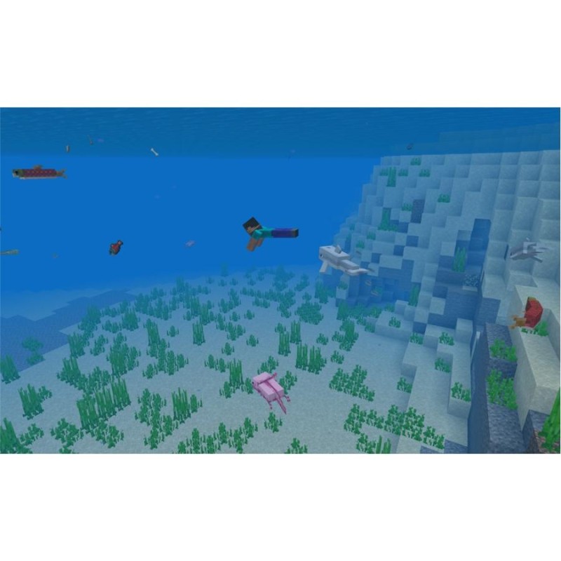 Minecraft: Java & Bedrock Edition for PC (オンラインコード版