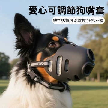 高雄出貨🔥狗狗嘴套 狗嘴套 透氣嘴罩 寵物口罩 寵物嘴套 狗口罩 狗嘴套狗狗防咬嘴罩可調節 反光狗嘴套戶外防誤食口罩