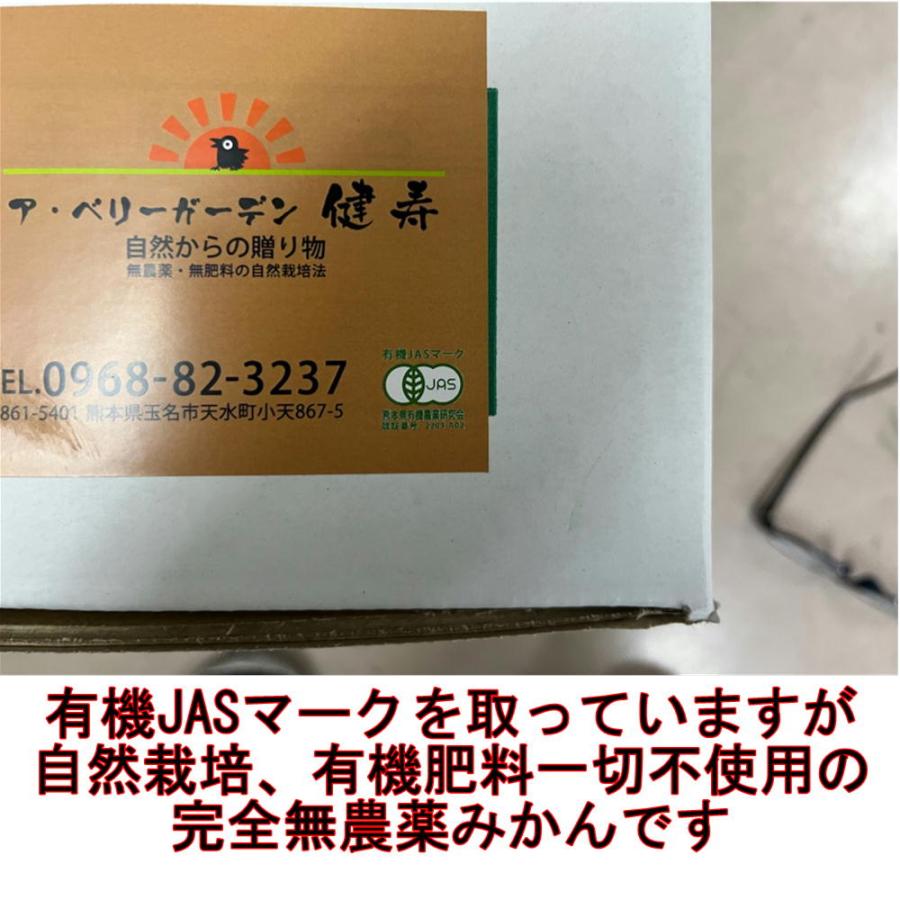 自然栽培　無農薬みかん　約5ｋｇ　訳あり　氏家さんの完全無農薬みかん　有機肥料一切不使用　完全無農薬　有機栽培　みかん　ミカン　蜜柑　無農薬　80サイズ