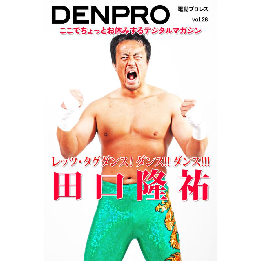 電動プロレス vol.28 電子書籍版   編・著:電動プロレス編集部