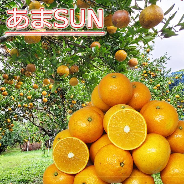 あまSUN 優品 2kg 沖縄県産