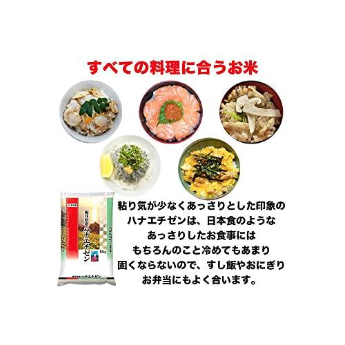 ハナエチゼン 5kg×2袋 福井県産 米 お米 白米 おこめ 華越前 単一原料米 ブランド米 10キロ 国内産 国産 令和4年産 (10kg)