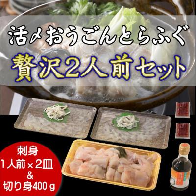 ふるさと納税 松浦市 活〆おうごんとらふぐ贅沢2人前セット