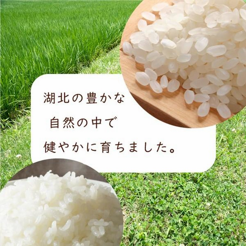 滋賀県産令和六年度　コシヒカリ 30kg 滋賀県産 コシヒカリ 30kg(5kg×6袋) 無洗米 令和6年産 米 お米