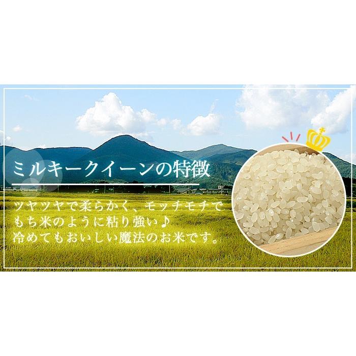 新米 お米 令和5年産 福島県中通り産 ミルキークイーン 白米:10kg(5kg×2個)  送料無料  ※一部地域を除く