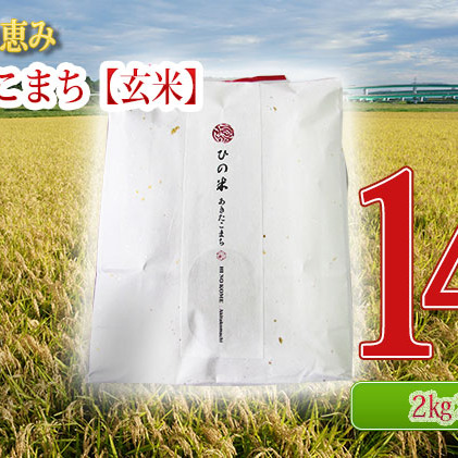 秋田県産 あきたこまち 玄米 14kg（2kg×7袋）神宿る里の米「ひの米」（お米 小分け）