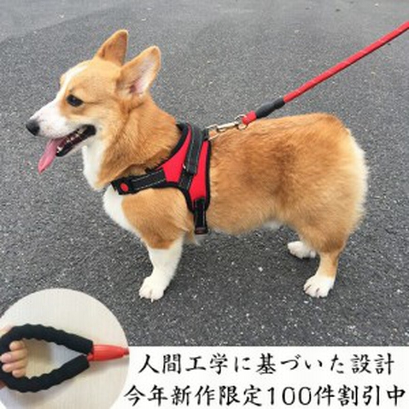 犬用ハーネス 犬用リード 小型犬用 中型犬用 ハーネスリードセット ハーネス リード 犬の胴輪 セット 一体型 ペット用品 通販 Lineポイント最大1 0 Get Lineショッピング