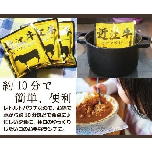 近江牛 カレー 高級 レトルトカレー 16パック ご当地カレー 国産 セット 防災 滋賀県ご当地モール