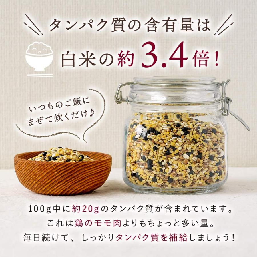 国産プロテイン雑穀 (黒)タンパク質たっぷりの8種の国産雑穀米 300g