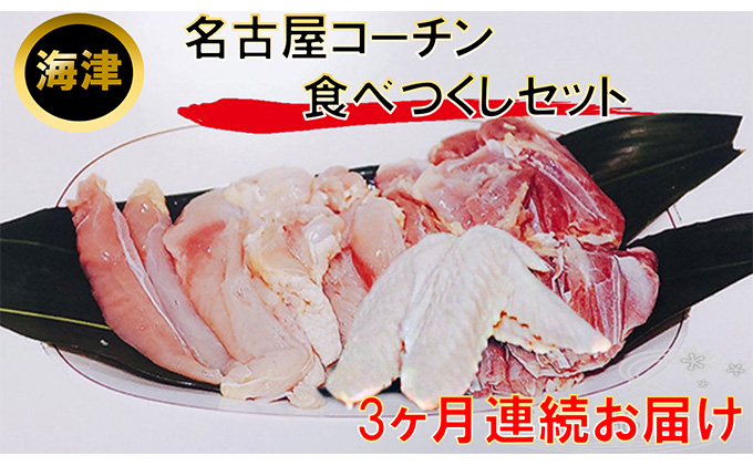 名古屋コーチン もも・むね・ささみ合計2.4kg  手羽先6本