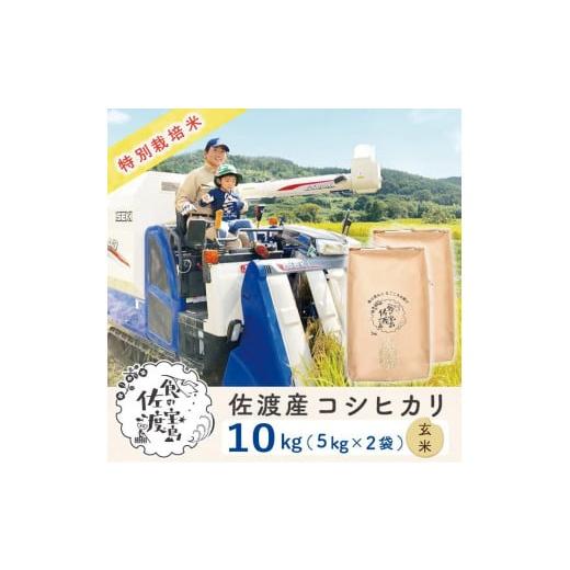 ふるさと納税 新潟県 佐渡市 特別栽培米 佐渡島産コシヒカリ 玄米10kg(5kg×2袋)