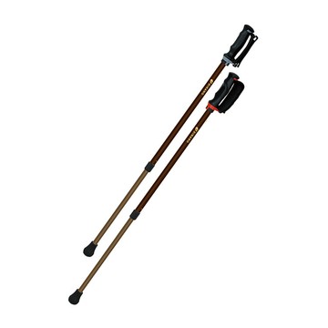 日本製【Sinano】2020安心健走杖 (一組2支)【M1CN1527】