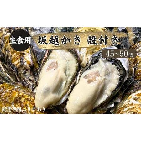 ふるさと納税 牡蠣 生食用 坂越かき 殻付き 45〜50個[ 生牡蠣 真牡蠣 かき カキ 冬牡蠣 兵庫県赤穂市